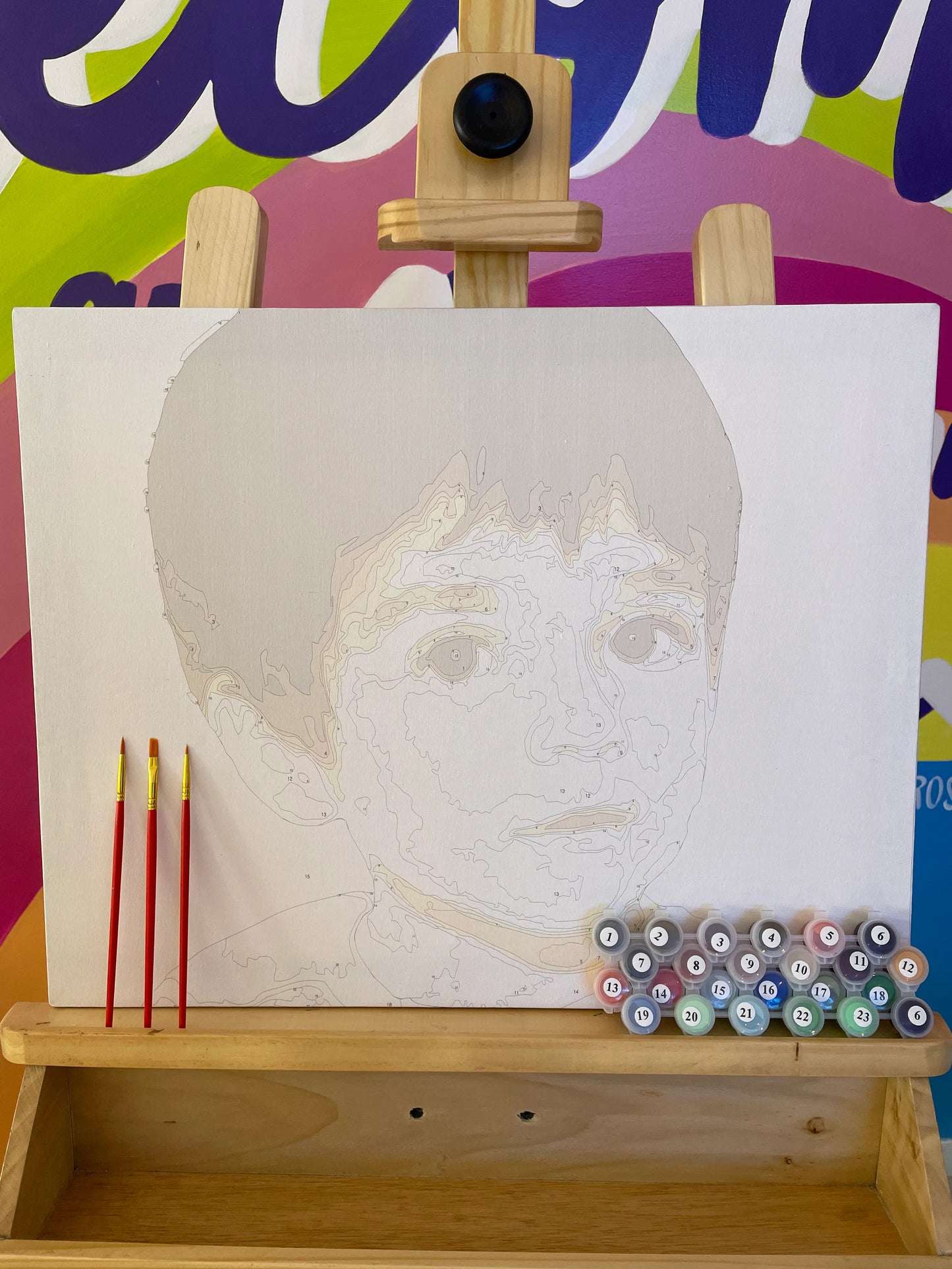 Opción 1. Kit Personalizados de Pintura por Números