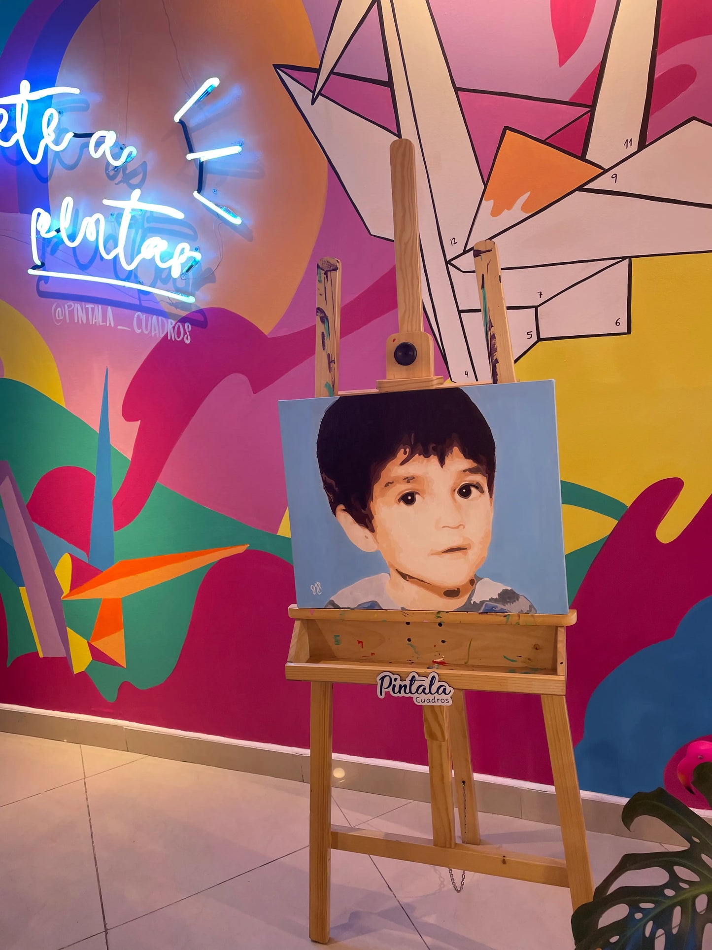 Opción 1. Kit Personalizados de Pintura por Números