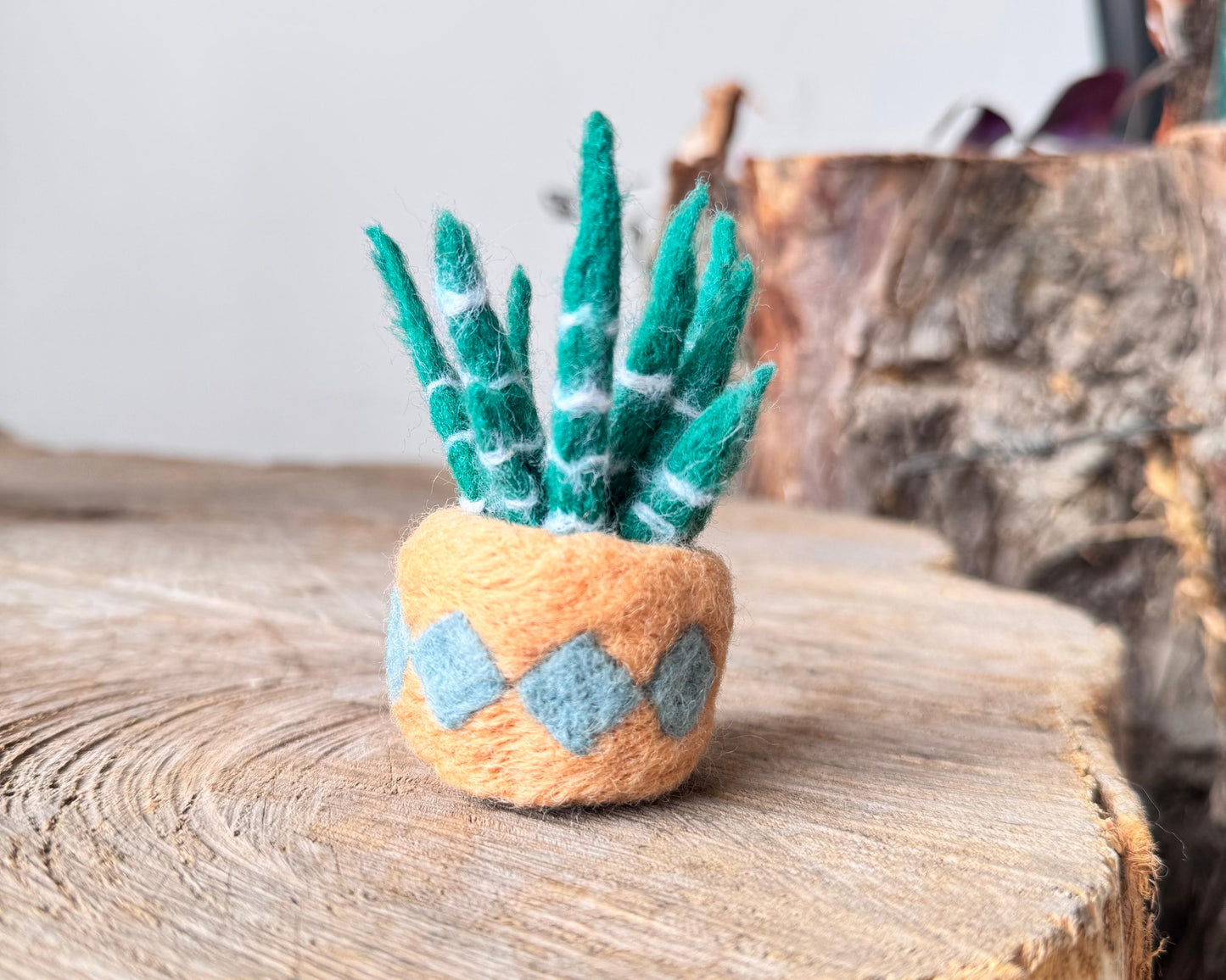 Lengua de suegra - Kit de Felting