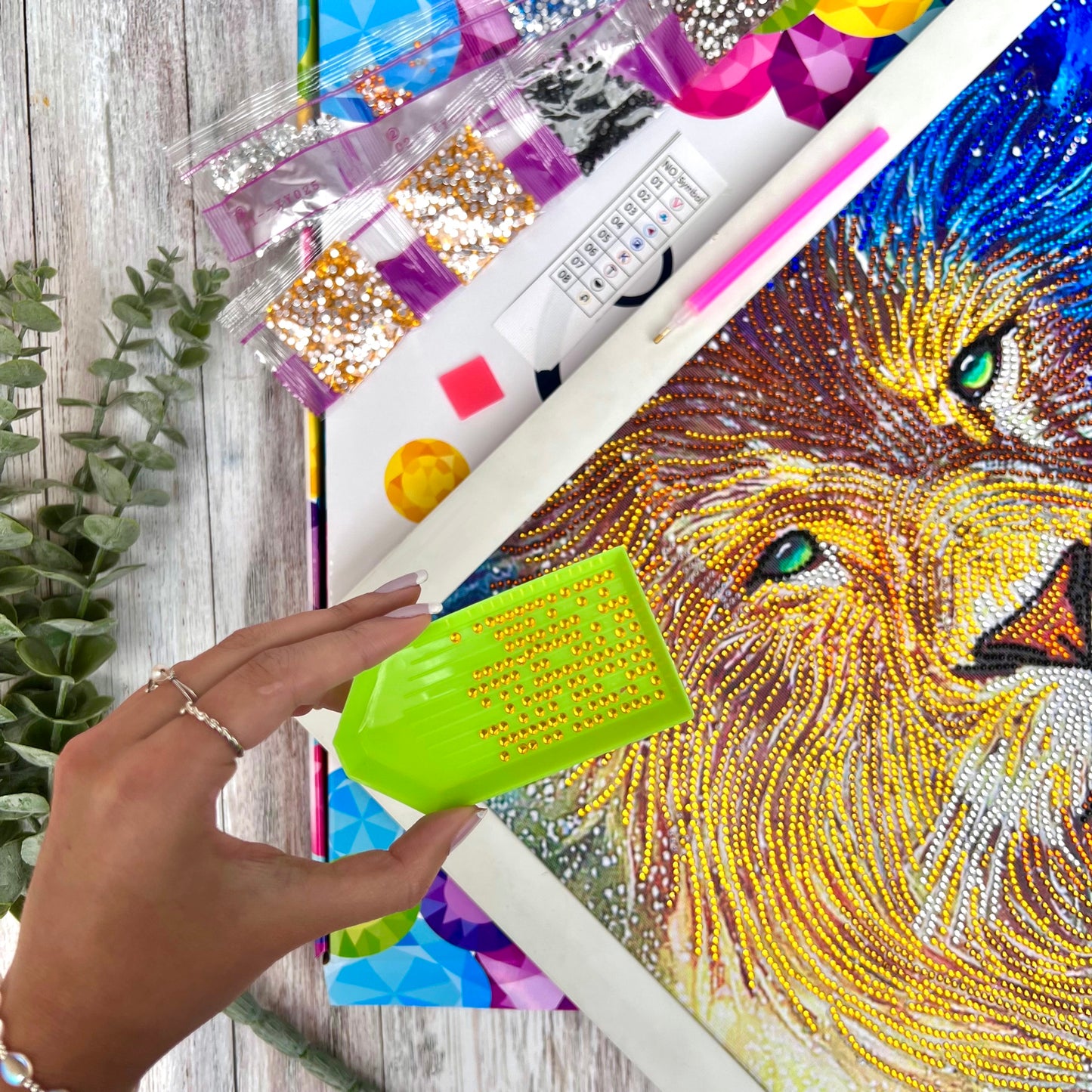 León Galáctico - KIT Por Piedritas