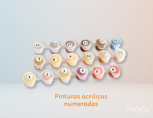 Zorrito - Kit de Pinturas por Números PARA NIÑOS -