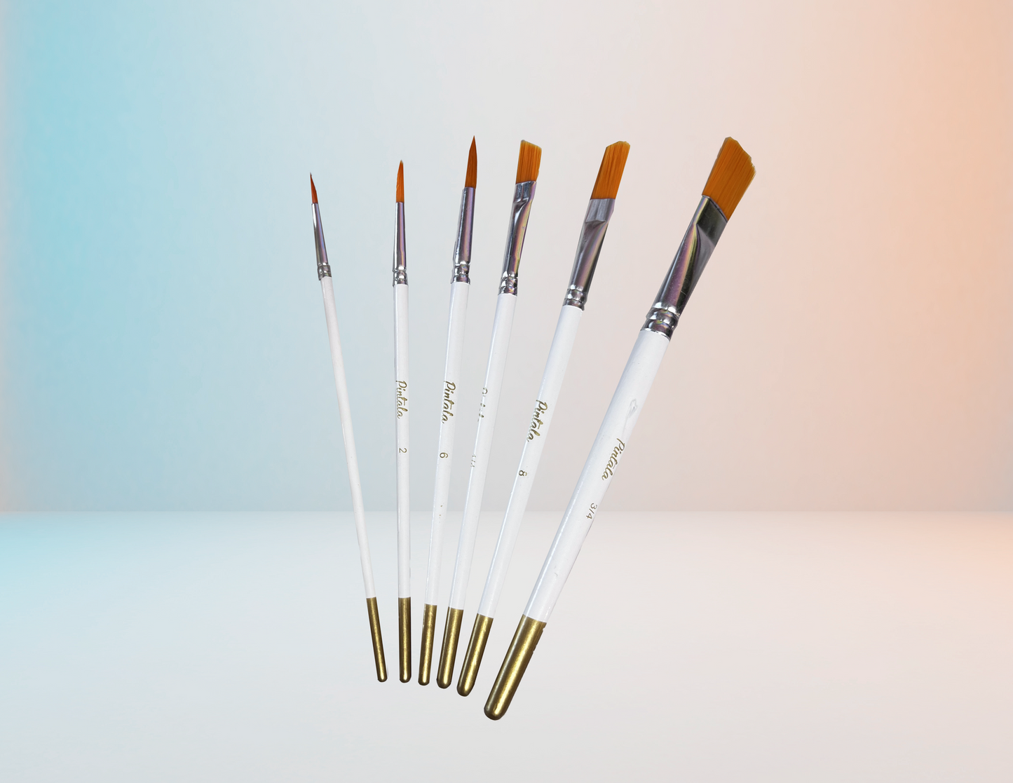 Kit X 6 de Pinceles Profesionales Marca Píntala