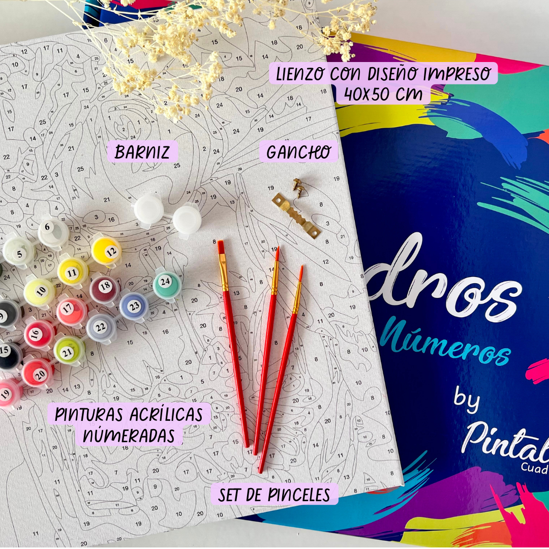 Lienzo para pintar por números 40x50 cm con diseño de colibrí, pinceles, barniz y pinturas acrílicas numeradas.