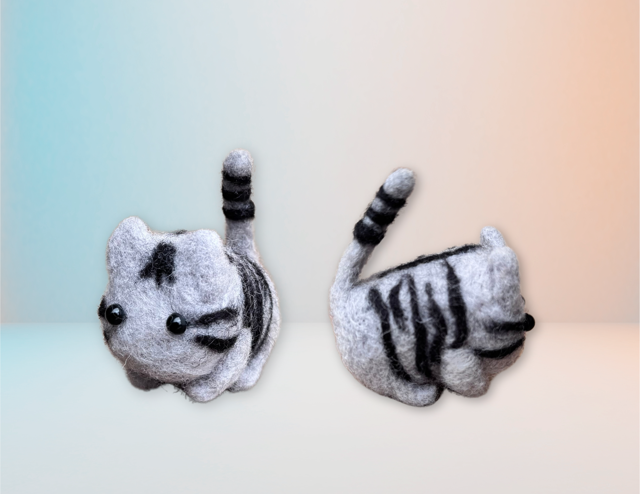 Pets - Kit de Felting