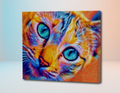 Gato Ojos  - Kit por Diamantes
