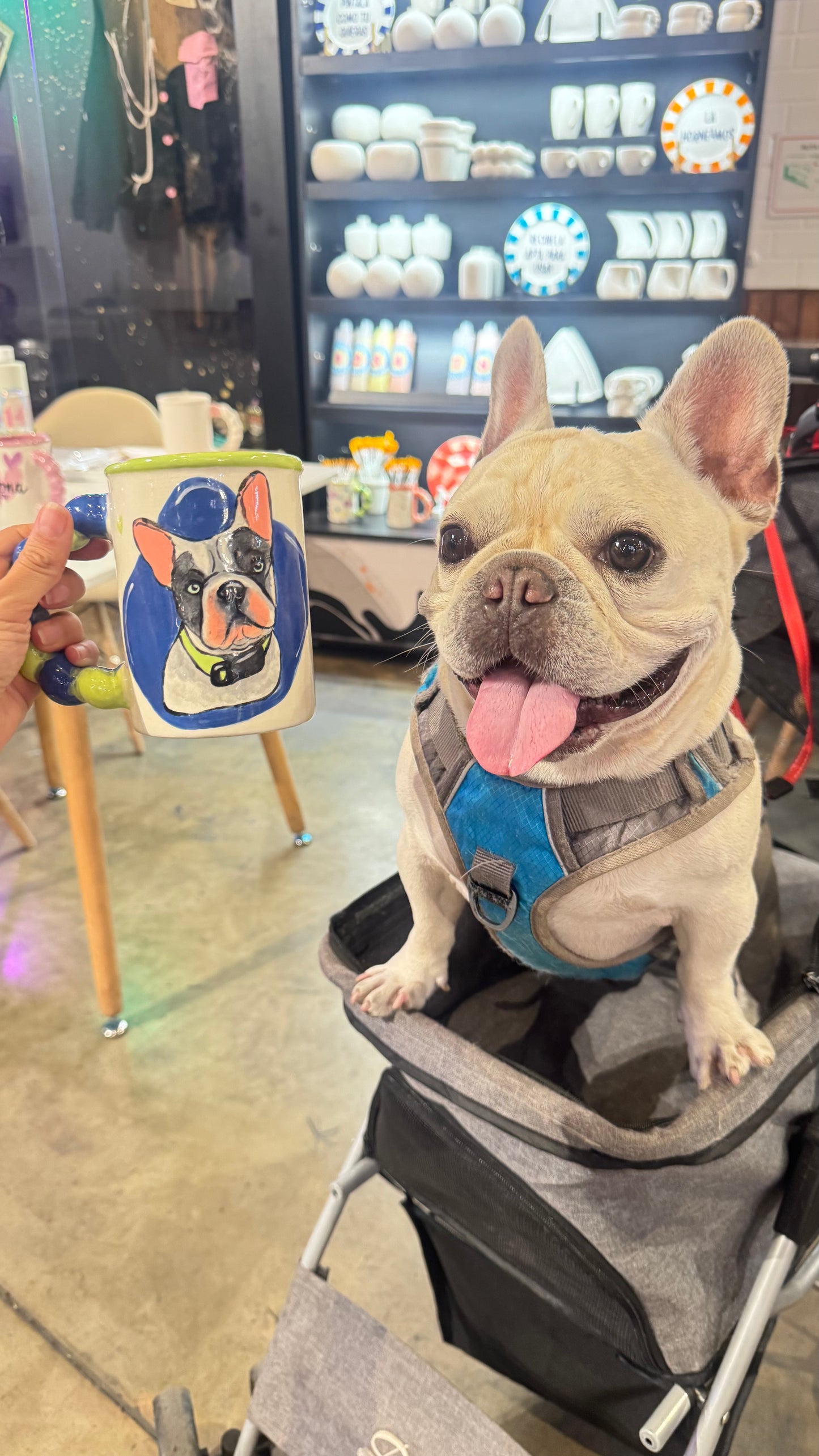 BRUNCH CERAMIPET - Pinta a tu Mascota en un Mug