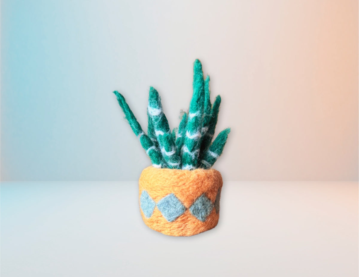 Lengua de suegra - Kit de Felting -