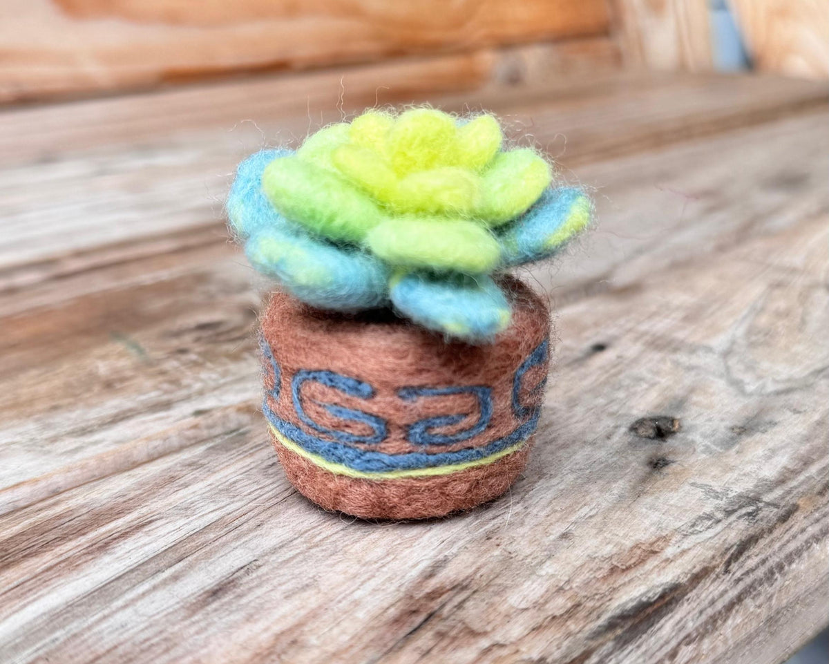 Suculenta - Kit de Felting -