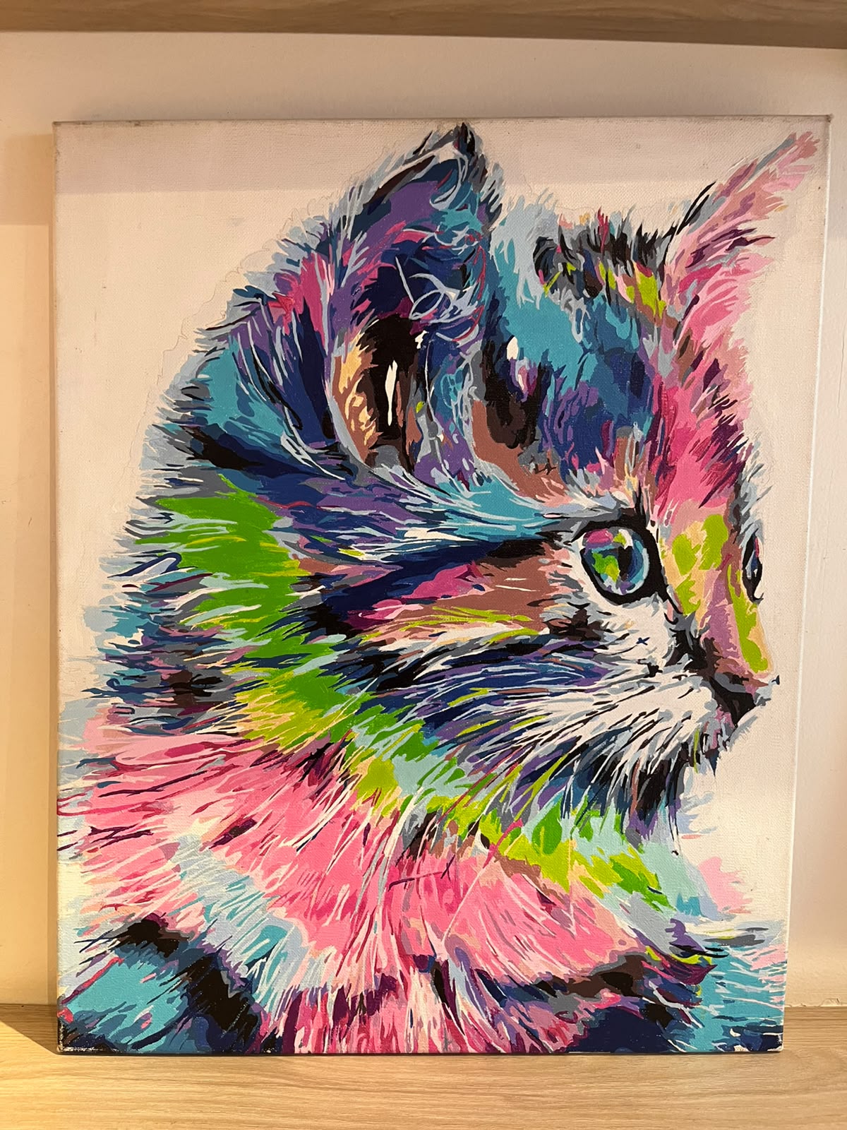 Gato Colores  - Kit de Pintura por Números - Nivel AVANZADO