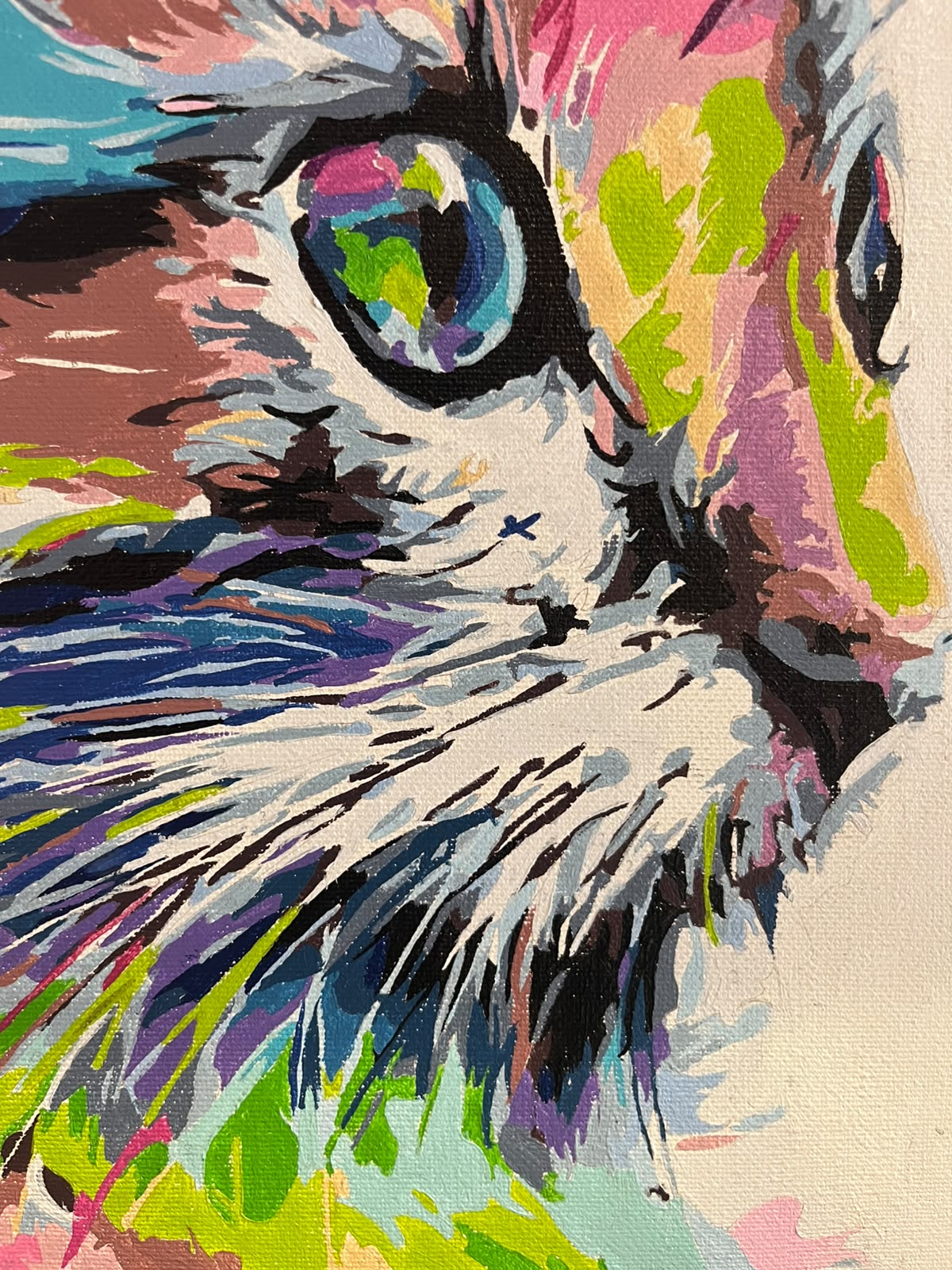 Gato Colores  - Kit de Pintura por Números - Nivel AVANZADO