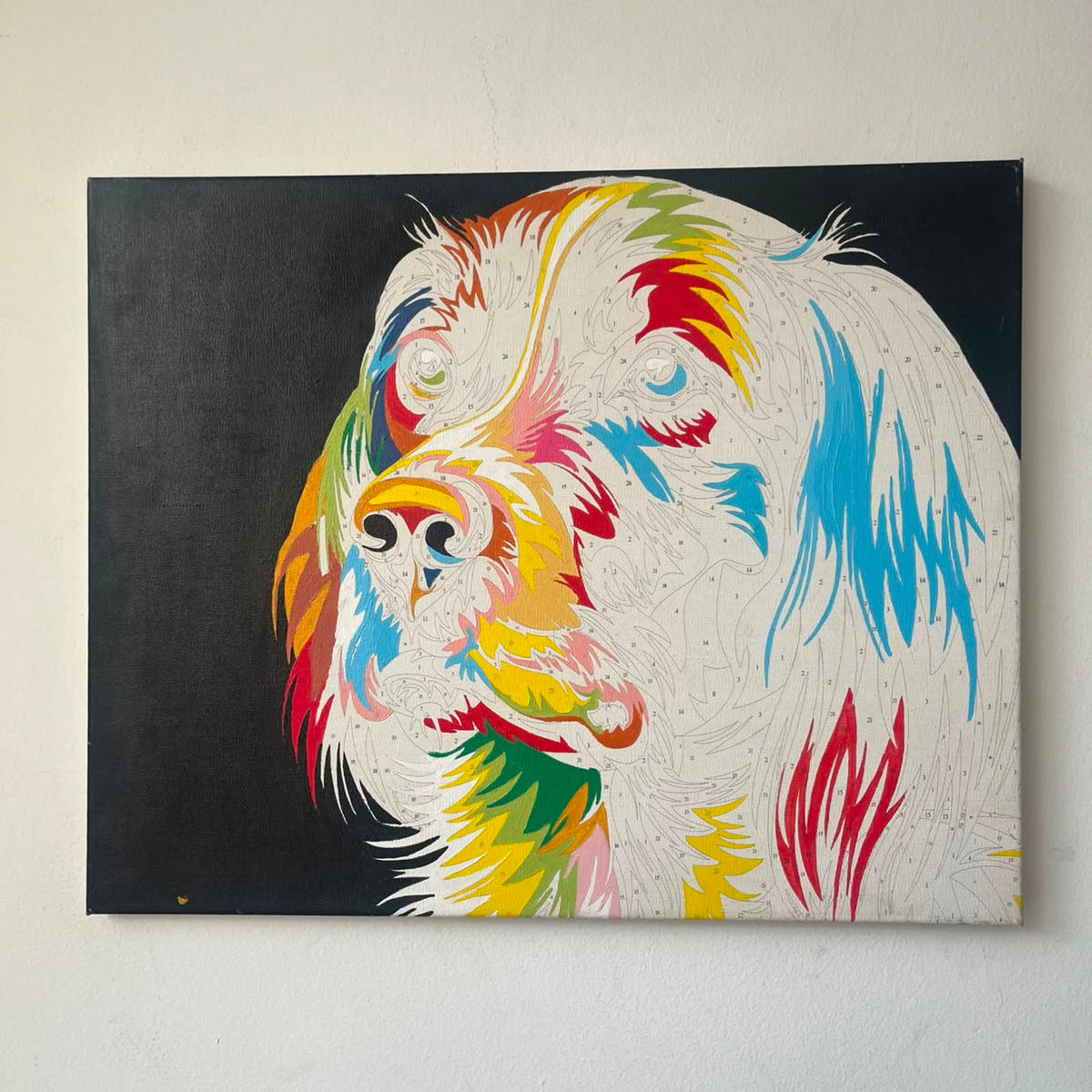 Perro fondo negro  - Kit de Pinturas por Números - Nivel Intermedio