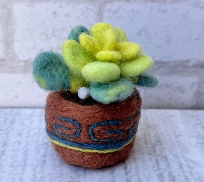 Suculenta - Kit de Felting -
