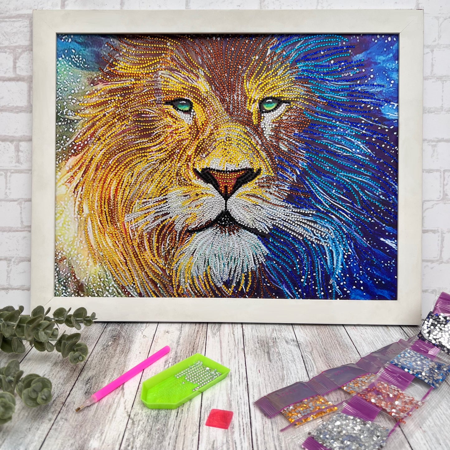 León Galáctico - KIT Por Piedritas