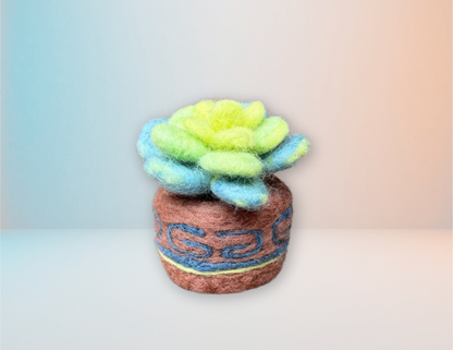 Suculenta - Kit de Felting