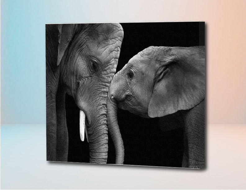 Elefantes Blanco Y Negro - Kit por Diamantes