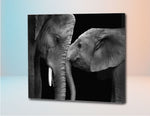 Cargar imagen en el visor de la galería, Elefantes Blanco Y Negro - Kit por Diamantes
