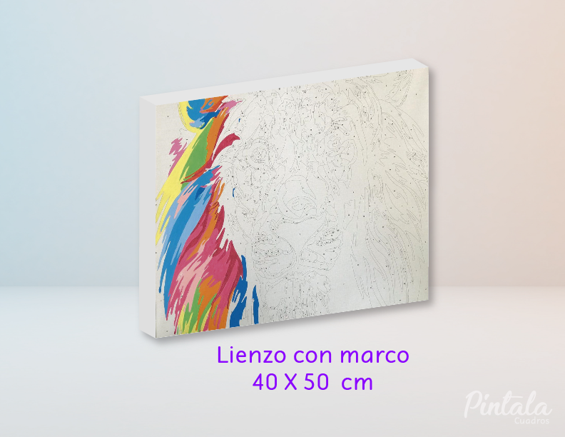 Zorrito - Kit de Pinturas por Números PARA NIÑOS -