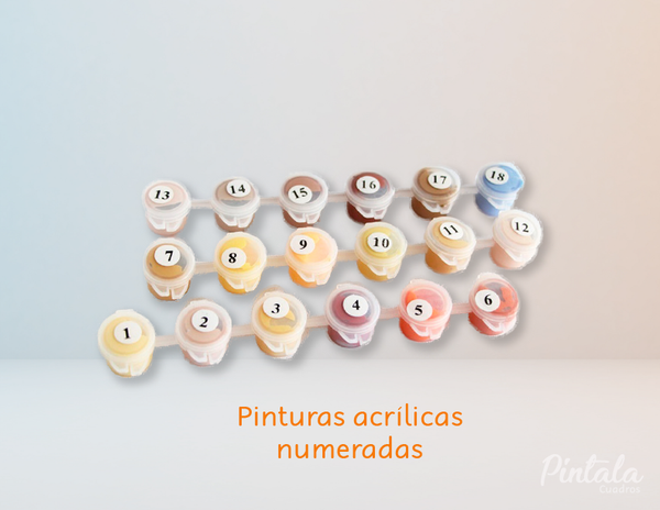 Ballena - Kit de Pinturas por Números Paint by numbers – Pintala Cuadros